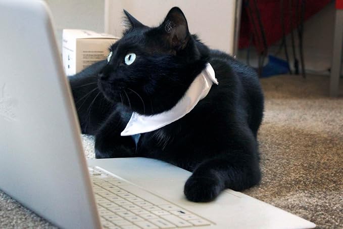 Cattop Cat Laptop Heated Bed - Cat Computer with Heated Surface, Realistic Kitty Laptop with Adjustable Screen, Lightweight Toy Gadget for Felines Who Sit On Keyboards