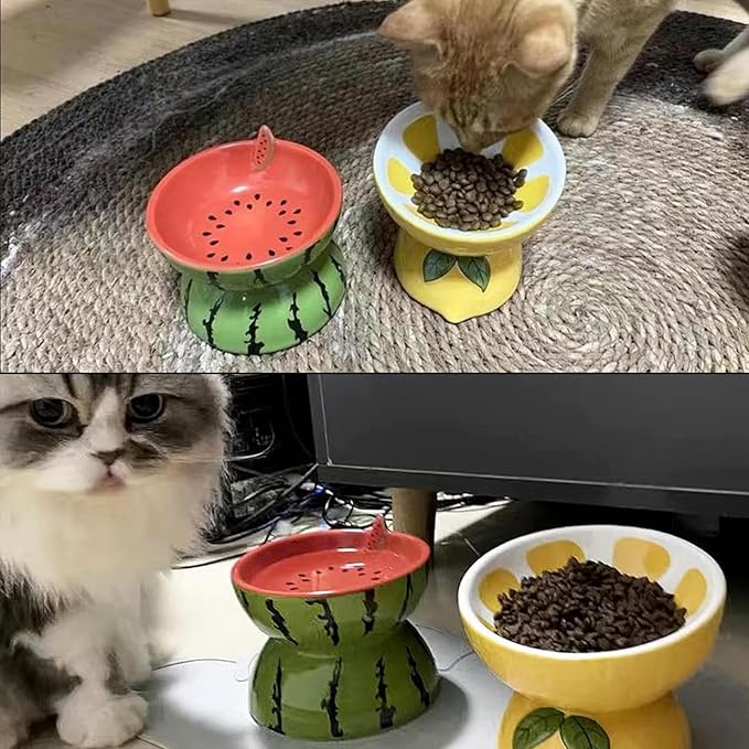 Hamiledyi Ceramic Raised Cat Bowl Anti Vomiting Elevated Tilted Cat Food & Water Bowls 2PCS Pet Feeder Dish for Indoor Kitty and Small Dogs (Watermelon & Lemon)
