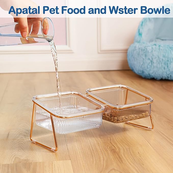 2PCS Elevated Double Cat Bowls,5.7" Pets Water and Food Bowl 15°Tilted Transparent Raised Kitten Food Feeding Dishes with Iron Stand Anti Slip Kitty Dishs Rose Gold Bowl Set for Kittiens