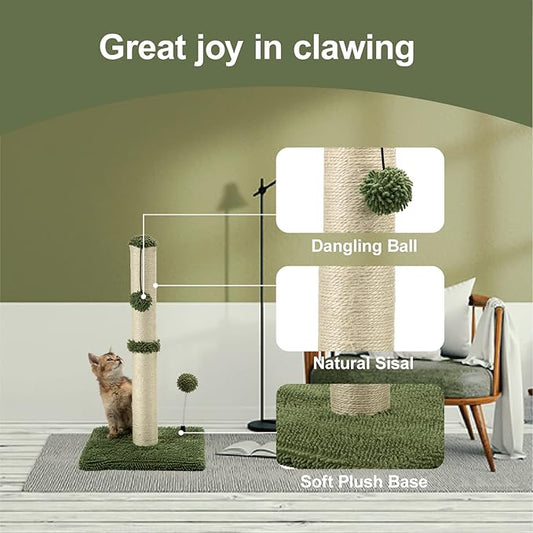 MECOOL Cat Scratching Post Premium Basics Kitten Scratcher Sisal Scratch Posts with Hanging Ball 22in for Kittens or Smaller Cats, Cactus Green