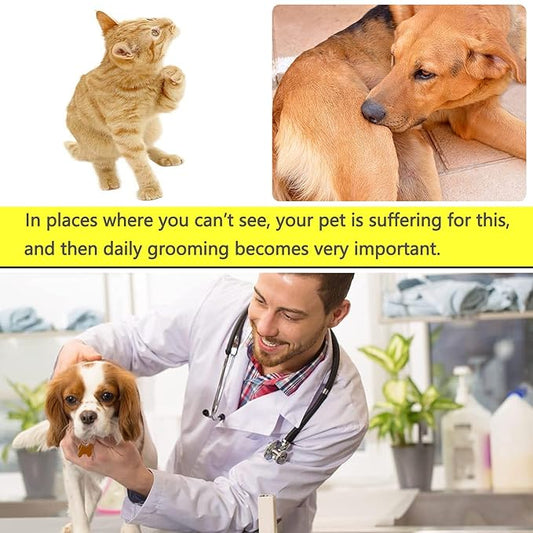 Flea Comb Lice Comb Cat & Dog Pet Grooming Combs Tear Stain Remover Remove Mucus Crust 2-in-1 Metal Round Smooth Teeth Comb Remove Floating Hair Tangles Dander (blue)