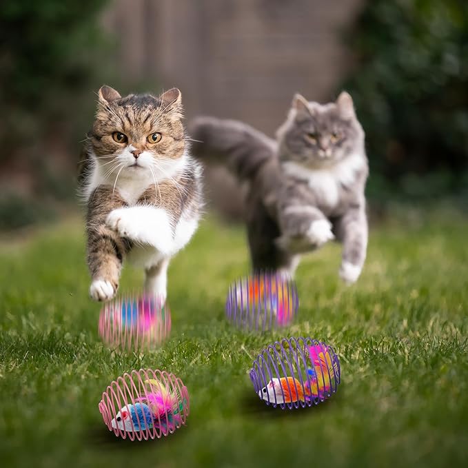 Jecery 5 Pcs Cat Spring Balls Stretchable Springs Toys Rolling Balls Colorful Playful Coils Interactive Spring Action Toy Caged Rats for Kitten Cat Pet Supplies Indoor (Cute Mouse,Bright Color)