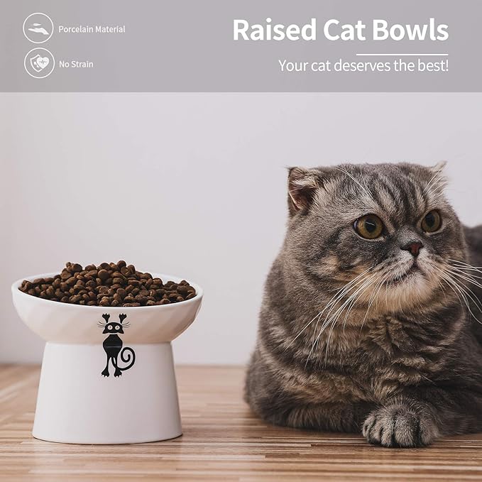 OMAYKEY Ceramic Raised Cat Bowls, Tilted Elevated Cat Food and Water Bowl Set, Porcelain Stress Free Pet Feeder Dish for Cats and Small Dogs, Dishwasher and Microwave Safe - Set of 2, White & Black