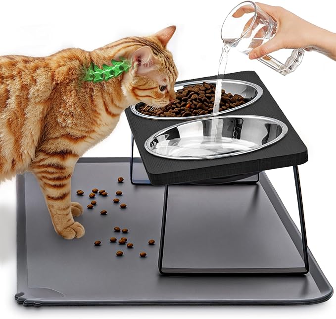 Elevated Cat Food Bowls with Mat Whisker Friendly, 15°Tilted Black Raised Cat Water Dishes Set for Anti Vomit, Pet Holder Stand Feeding Station for Indoor Kitten and Puppy