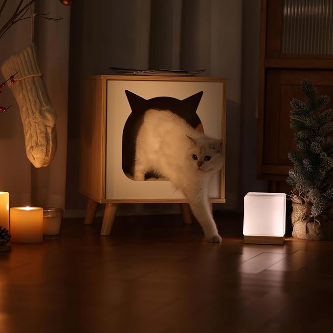 Cat House Wooden Cat Condo Cube Shaped,Modern Cat Bed Side Table & Nightstand,Cat Shelter Furniture with Cushion Cat Scratch Pad,Natural