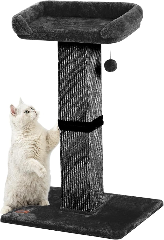 32" Cat Scratching Post for Indoor Cats, Sisal Cat Scratcher with Plush Perch, Large Scratch Post with Bed, Removable Cover, Sisal Fabric,Black