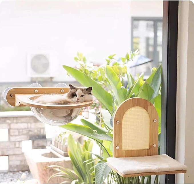 Cat Furniture, Rubber Wood, Transparent Capsule Kitten Walls Shelves - Premium Kitty Bed for Sleeping, Playing, Climbing, and Lounging