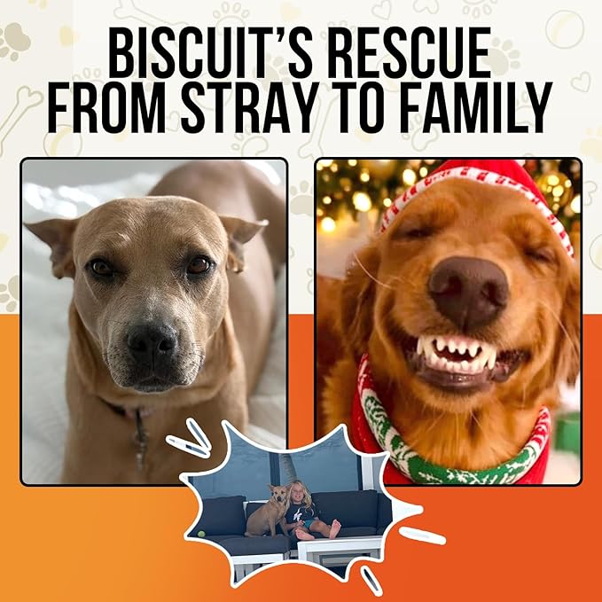 Hemp Oil for Dogs and Cats - 100% Organic Cold Pressed Oil - Made in The USA (30 mL)