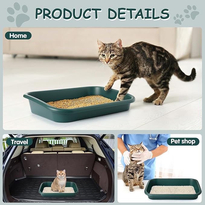 3 Pcs Large Cat Litter Box, Low Entry Senior Cat Litter Box Open Top Pet Litter Boxes Tray for Big Older Cats Kitten Sick Frail or Disabled Cat, 23.2" L x 16.5" W (Green)