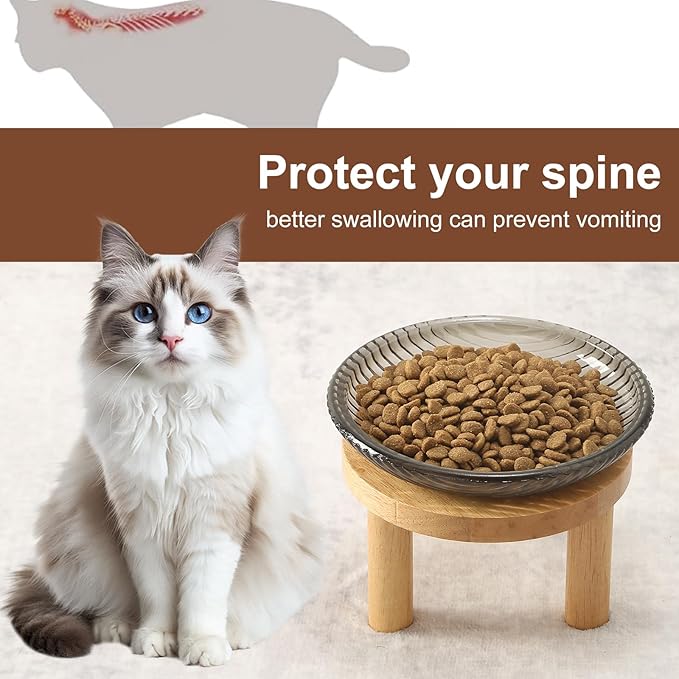 Cat Bowls Whisker Friendly with Wooden Stands. Raised Elevated Glass Whisker Fatigue Cat Bowl for Indoor Cats. 2PCS (Black)