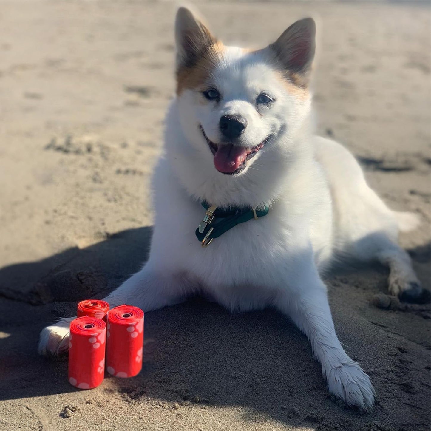 Best Pet Supplies Dog Poop Bags (150 Bags) for Waste Refuse Cleanup, Doggy Roll Replacements for Outdoor Puppy Walking and Travel, Leak Proof and Tear Resistant, Thick Plastic - Red