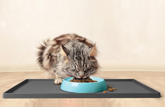 CatGuru Cat Bowls, Whisker Friendly Cat Food Bowl for Indoor Cats, Reliefs Whisker Fatigue, Wide Pet Bowl, Non Slip Pet Feeding Bowls, Shallow Kitten Dish (Aruba)