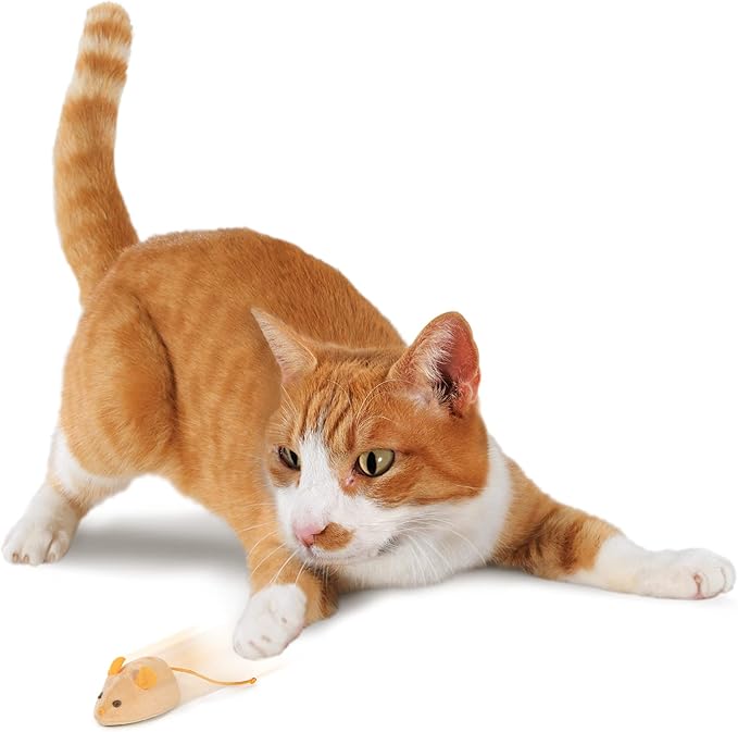 SmartyKat Electronic Motion/Moving Toys for Cats & Kittens, Battery Powered, Mimics Motion of Real Prey, Fun & Interactive Play - Multiple Styles