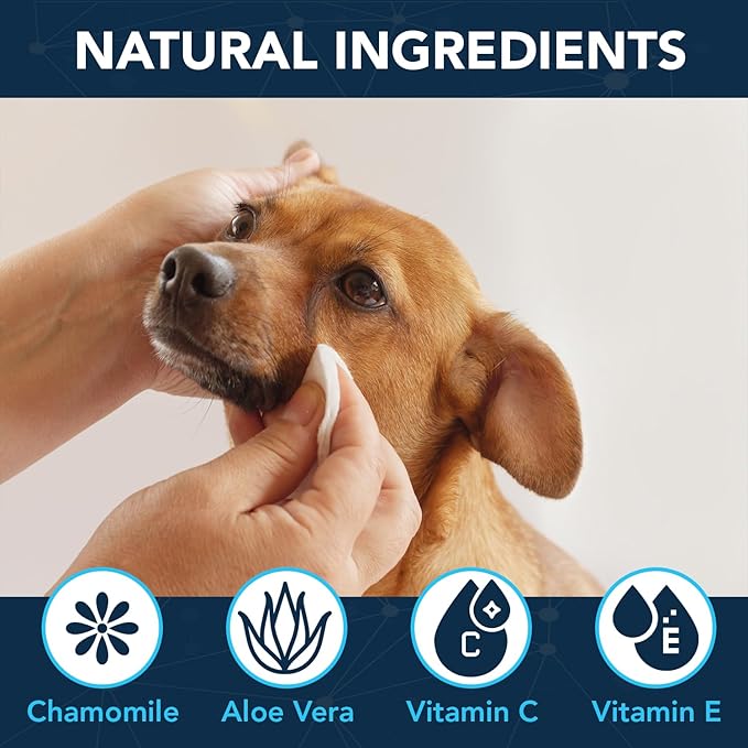 NOVEHA Dog Eye Wipes - Tear Stain Remover for Dogs - Formulated to Remove Eye Debris, Tear Stains & Eye Discharge - Plant Based, Safe, Convenient, and Large Unscented Wipes (100 Count x 1 Package)