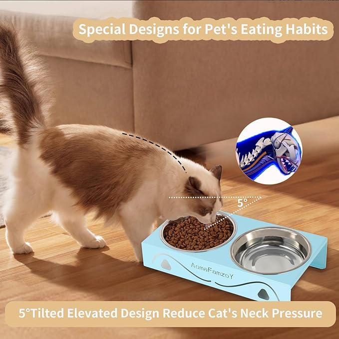 2 Pack Cat Food Bowls - Indoor Set with Metal Stand,5° Tilted Anti Vomiting Wide Raised Pet Dish, Cute Elevated Cat Feeding Station for Food Water, 4 Stainless Steel Bowls for Kitten, Puppy,Blue