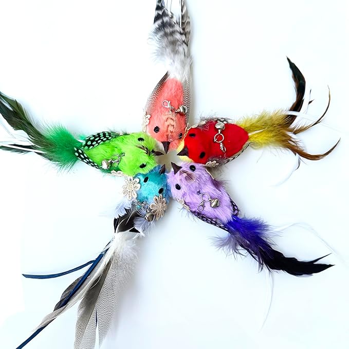 Cat Wand Toy, 6 Pieces Interactive Cat Wand Bird Feather Toys for Indoor Cats Play Exercise