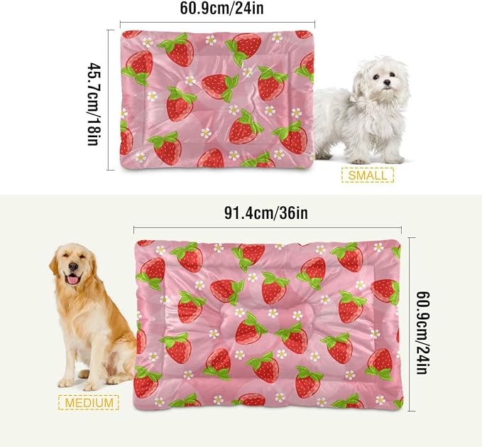 Pet Bed Strawberry Fruits Dog Bed Mat Absorbing Non Slip Pad Pet Sleeping Mat for Small, Medium, and Large Dogs Puppy Cat 36 in x 24 in