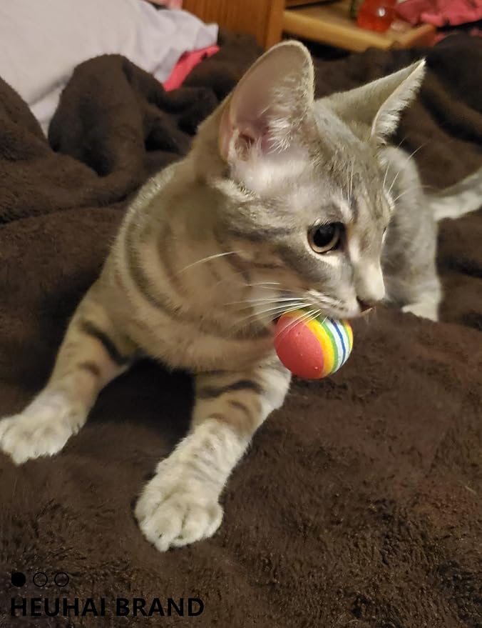 10-Pack Cat Toy Balls for Kittens and Cats, Giggly Zoom (1.5'' - 2.1'', Cat Toys Mega Set)