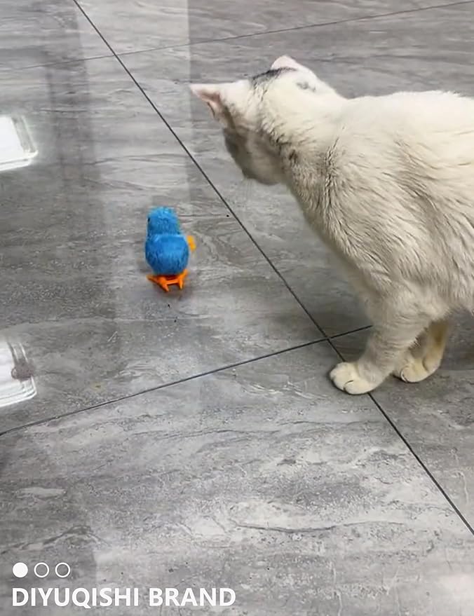 15-Pack Cat Toy Variety for Indoor Cats, Jumping for Joy (1.5'' - 3.7'', Cat Toys Mega Set)