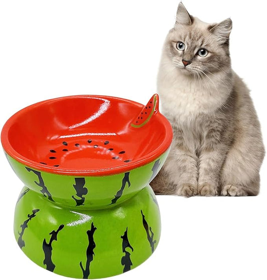 Hamiledyi Ceramic Raised Cat Bowl 5In Elevated Wide Cat Bowl for Food and Water Anti Vomiting Tilted Pet Feeder Dish for Indoor Cats and Small Dogs(Watermelon)