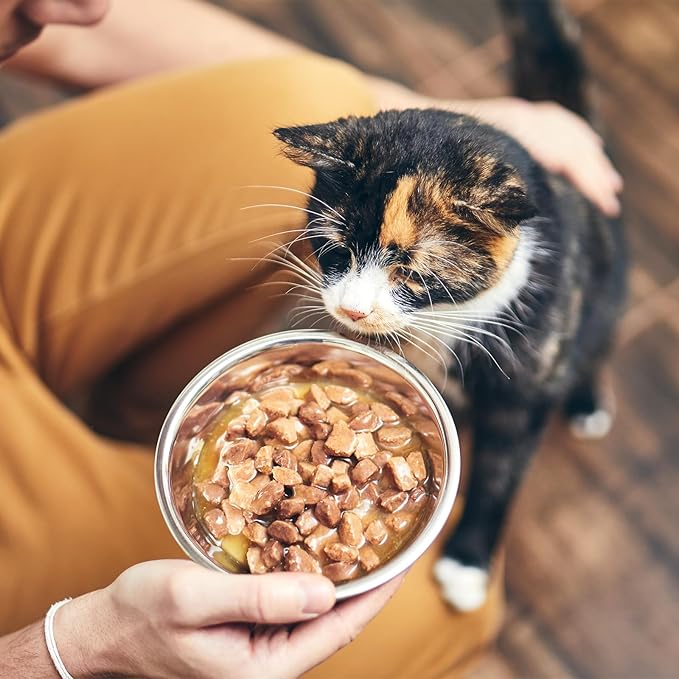 12 PCS Stainless Steel Cat Bowls, 5.5 Inch Metal Cat Bowls Whisker Friendly, Pet Bowl, Replacement Elevated Food Water Dishes for Kitten