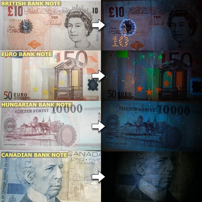 2.0 UV Pet Urine Detector Black Light LED Flashlight + Cat & Dog Behavior Guide. Ultra Bright Optimal 380-385NM Wavelength Finds Invisible Stains Instantly! Stop Pet Pee Issues Forever