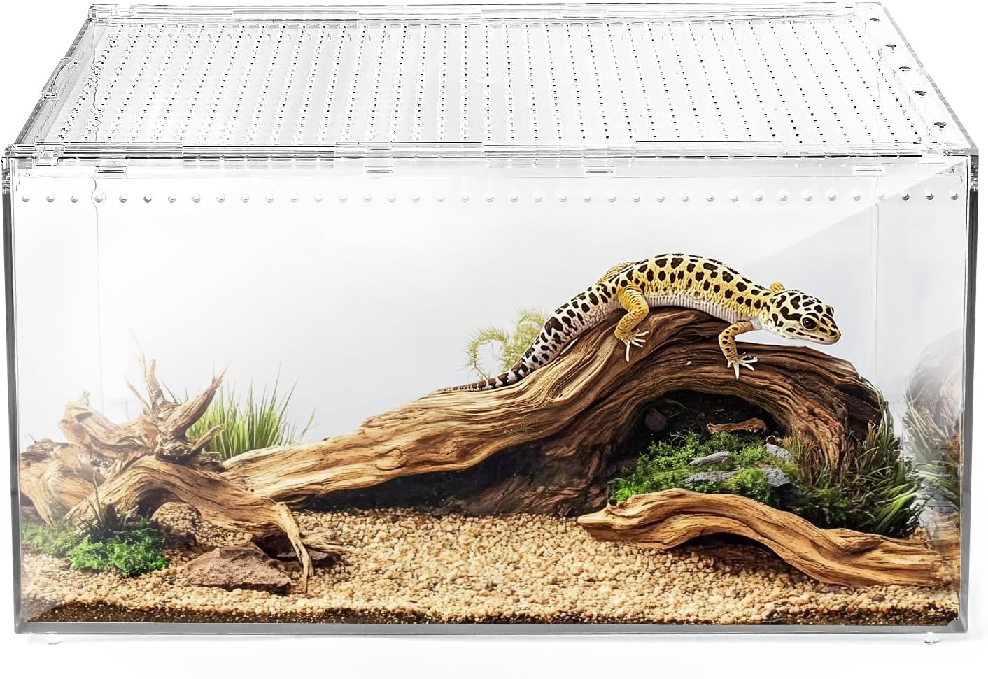 AZV Reptile Terrarium Tank,Versatile Enclosure for Leopard Crested Gecko,Lizard Cage,Spider Starter Kit,Hermit Crab Habitat,Tarantula Cribs,Perfect Aquarium for Snake,Frogs,Snails,Insects,Small Pets