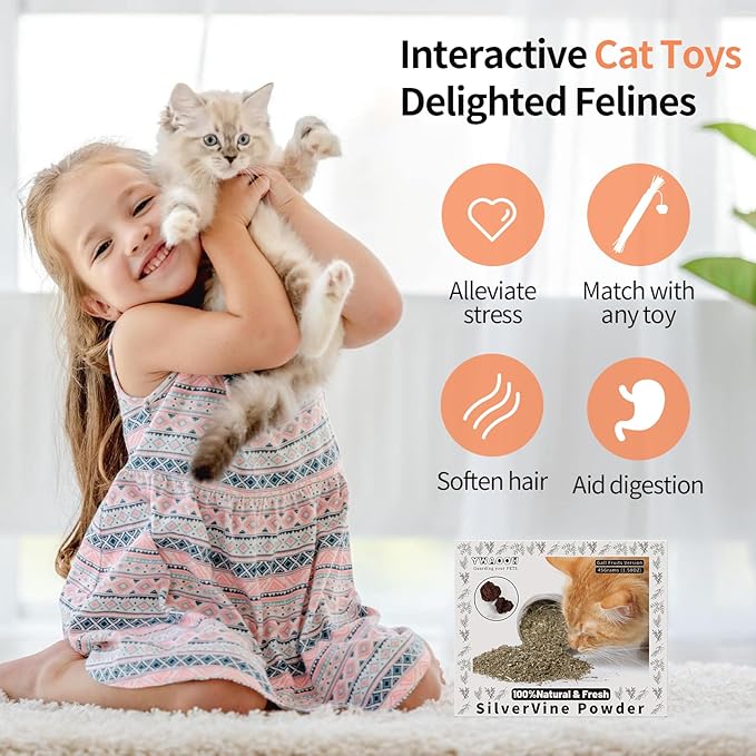 Cat Toys - Silvervine Powder 45g with 5 Resealable Pouches, Catnip Alternative, 100% Natural Silver Vine Gall Fruit Powder, Matatabi Cat Toy, Suitable for All Cat Ages