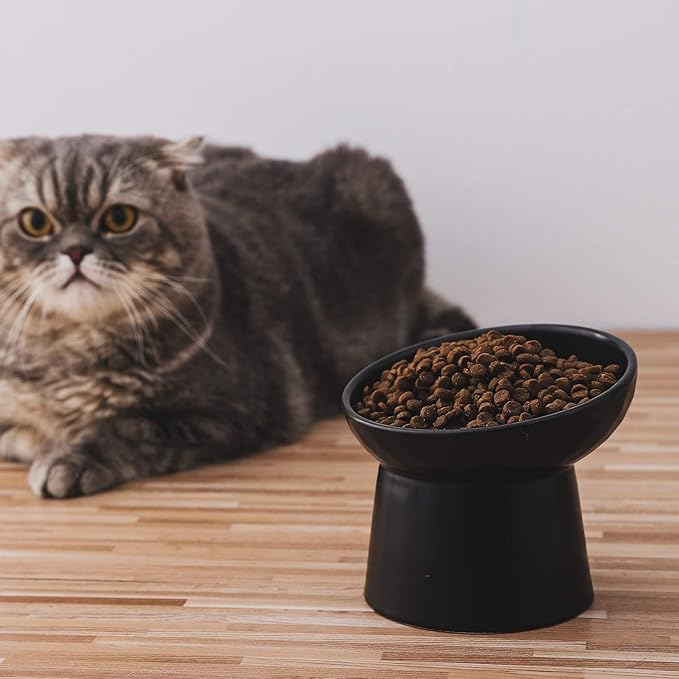 OMAYKEY Ceramic Raised Cat Bowls, Tilted Elevated Cat Food and Water Bowl Set, Porcelain Stress Free Pet Feeder Dish for Cats and Small Dogs, Dishwasher and Microwave Safe - Set of 2, White & Black