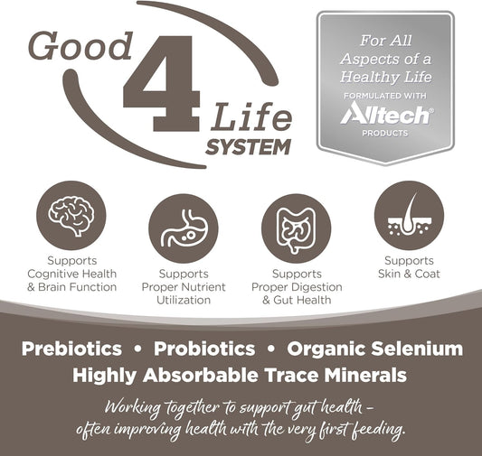 NutriSource Dry Dog Food for Seniors, Chicken and Rice, 4LB