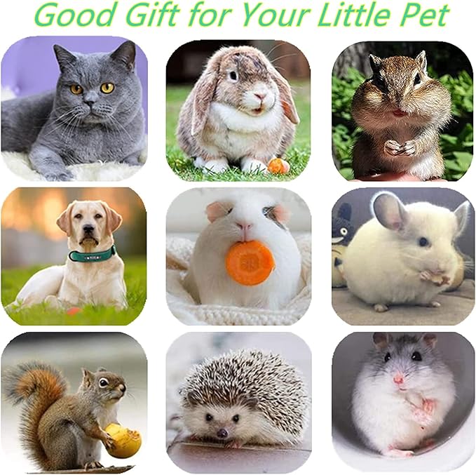 Cat Toys,3 Pack Silvervine Cat Feather Toy Kitten Chew Stick Catnip Treat with Bell for Cleaning Teeth Indoor Kitty Teaser Wand Molar Snack Interactive Pet Rabbit Bunny Hamster