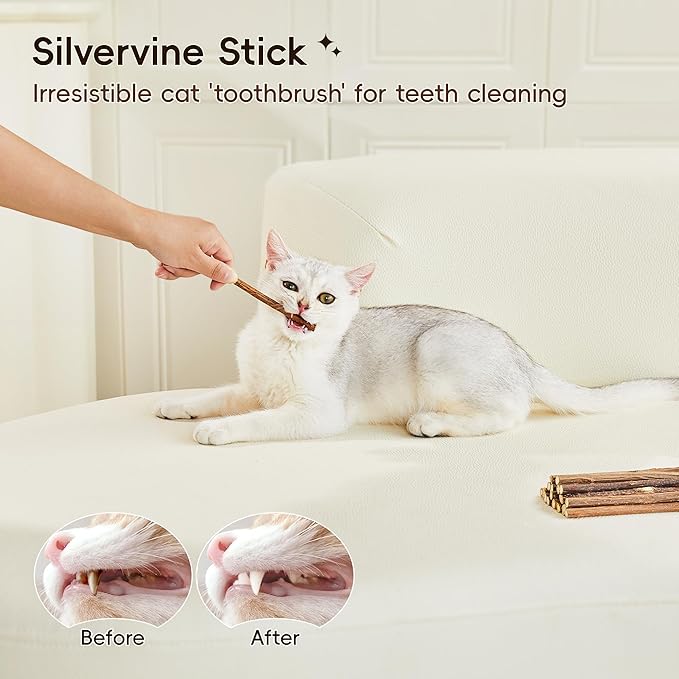 Potaroma Natural Catnip Silvervine Gall Fruit Cat Toys Set with Plush Shell, Organic Kitten Toys for Relaxing and Teething, Interactive Cat Kicker Set (2.2" Dia Tubes)