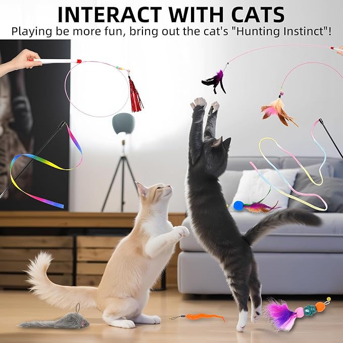 13 PCS Cat Wand Toys, Interactive Kitten Toys for Indoor Cats with Teaser Wand String for Exercise Kitten, Includes Replacements Feather, Worm, Mouse, Rainbow Strip