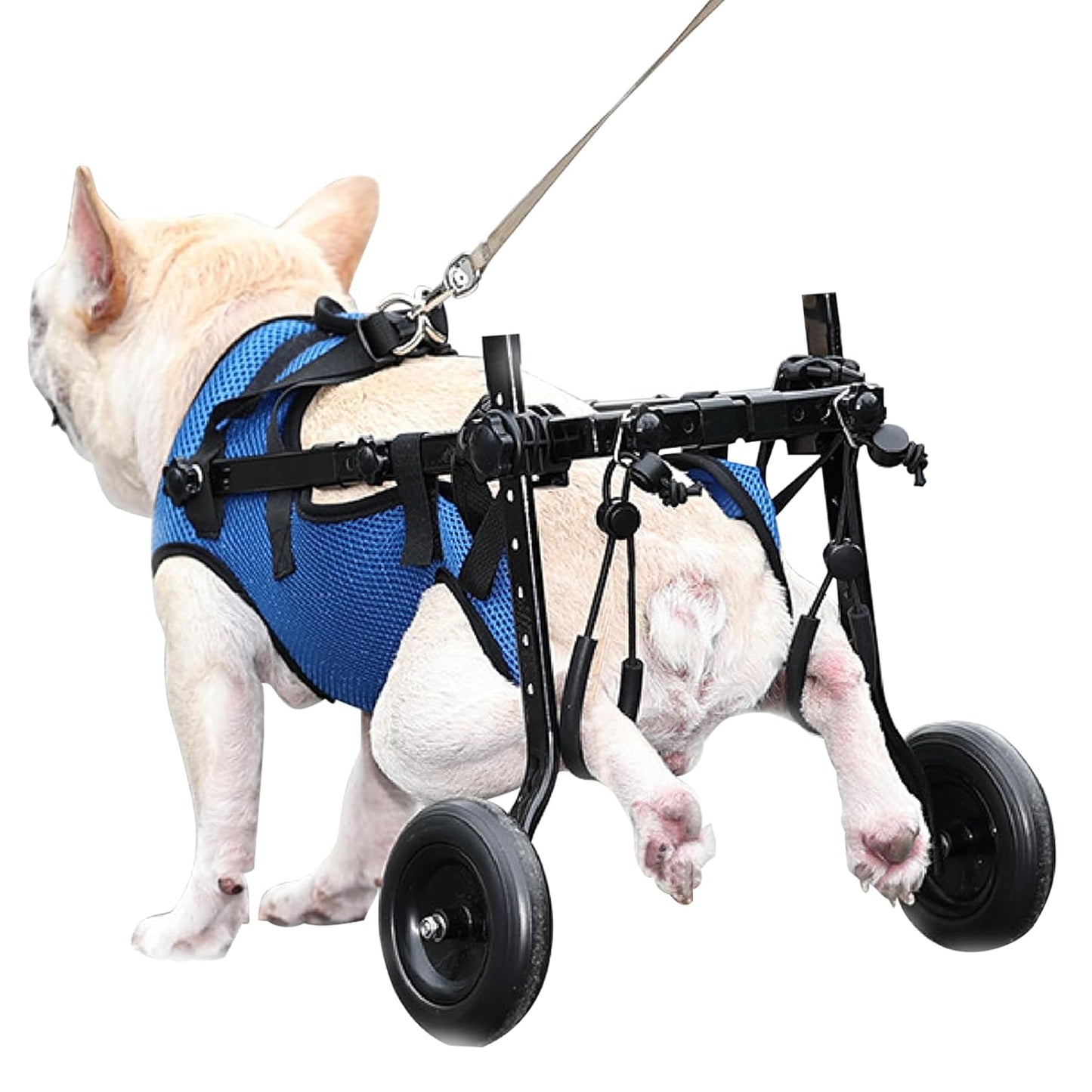 Pet Wheelchair Disabled Hind Legs Walking-Dog Leg Brace and Hip Support，Dog Wheelchair for Back Legs，Adjustable Pet Cart，Assist a paralyzed pet get Back on its feet，Support Leg Brace and Hip (Medium)