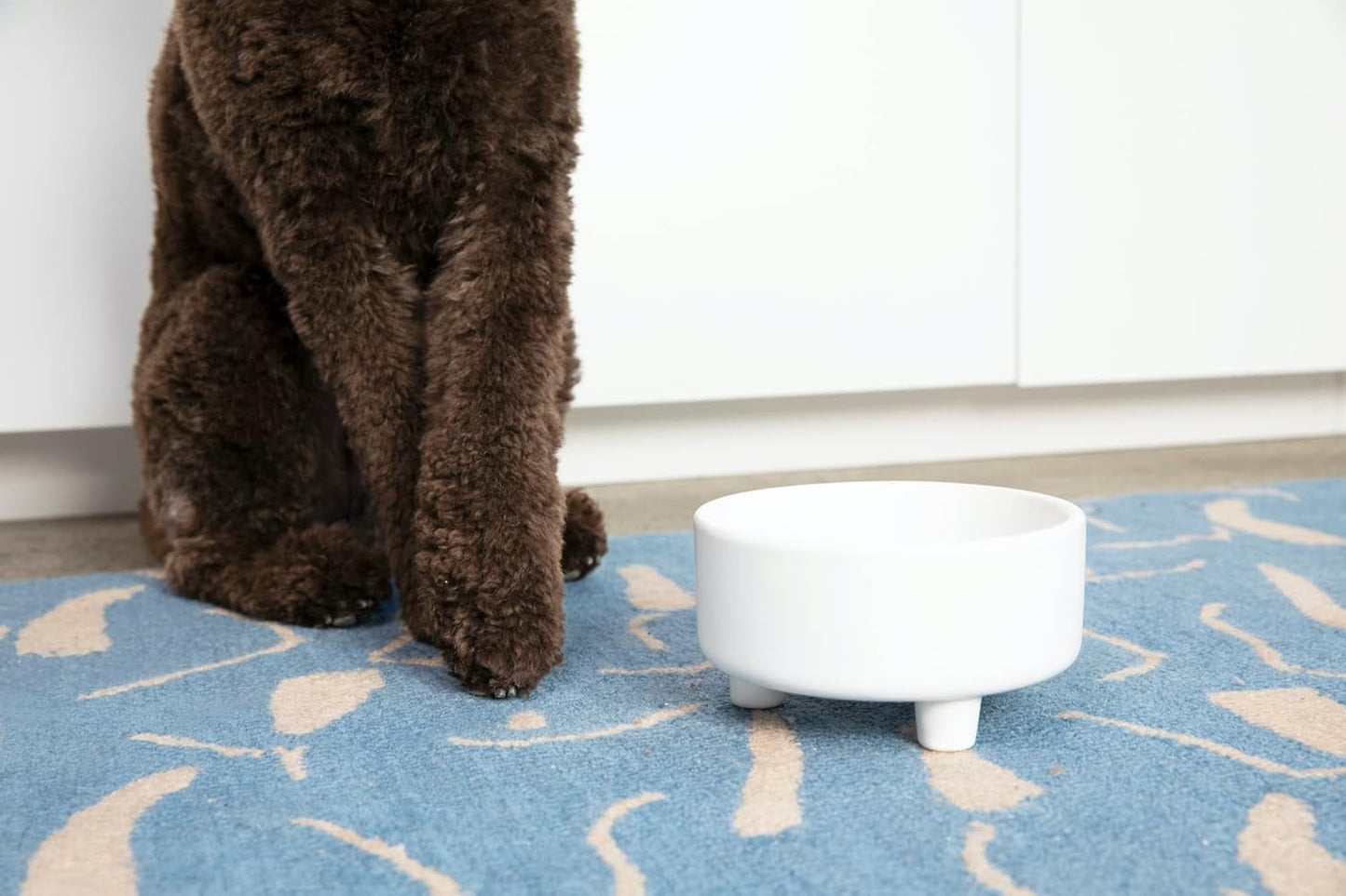 Waggo Uplift Ceramic Dog Bowl for Small Medium and Large Breeds - Heavyweight and Durable Pet Food and Water Dish Crock, Dishwasher Safe, Modern, Elevated Feeder (Small, Black)