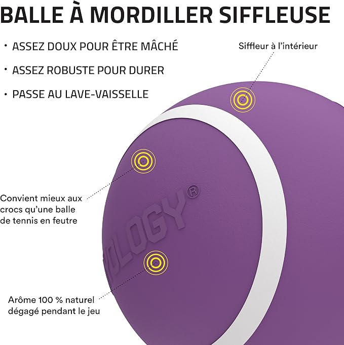 Playology Dog Toys | Squeaky Chew Ball - Squeaky and Bouncy Durable Floating Fetch Ball for Dogs | Jumbo Chicken Scented Toy - Easy to Clean and Made from Non Toxic Materials