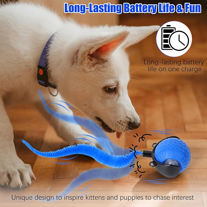 Cat Toys for Indoor Cats, Interactive Cat Toys for Bored Indoor Adult Cats, Automatic Speedy Ball Interactive, Electronic Rollie Pet Chase, Smart Interactive Tail Balls for Kittens (Blue)