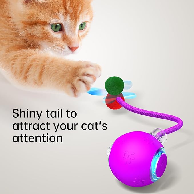 Interactive Cat Toys for Indoor Cats - Kitten Toy with Speedy Tail 2.0, Automatic Cat Toys for Bored Indoor Adult Cats, Motion-Activated, 2025 New Upgraded, USB Rechargeable (Purple)