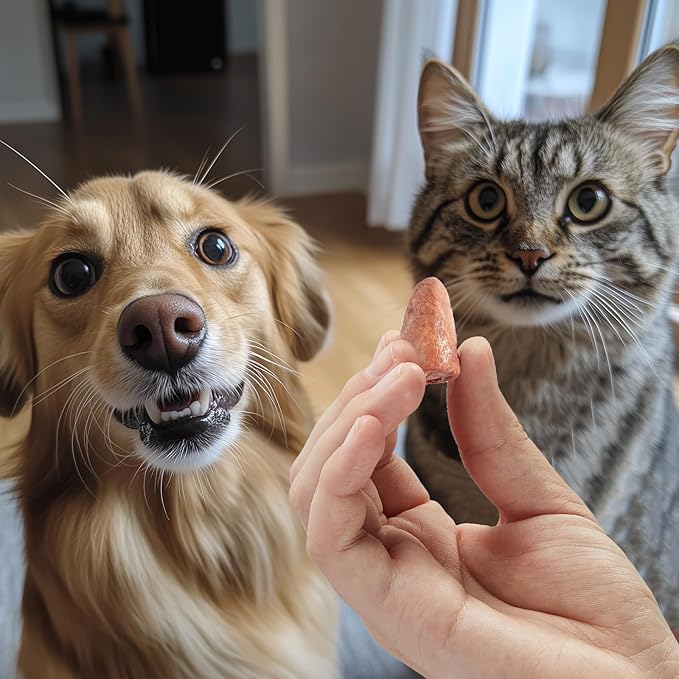 Jungle Calling Cat Treats & Dog Snacks, Freeze Dried Chicken Hearts Halves for Cats & Dogs, Single Ingredient Organ Meat, High Protein Pet Training Treats & Food Topper, 7.76 oz