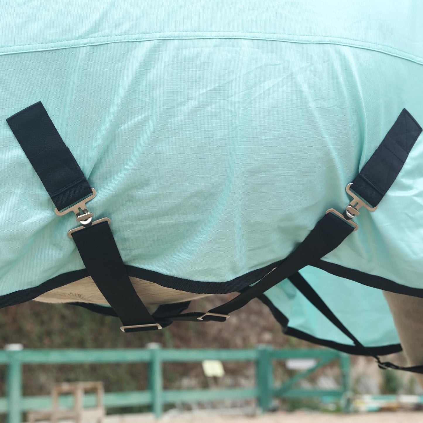 Horse Fly Sheet, Standard Neck Comfy Mesh Fly Sheet for Horses, Equine Summer Sheets UV-Protective Green 81