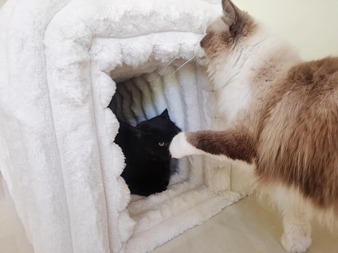 Storage Bench Pet Supplies Corduroy Bench Cat's nest to Hide for The Living Room, Entryway and Bedroom (Beige)