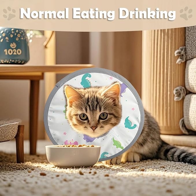 LOS ANDES Cat Recovery Collar - Adjustable Protective Alternative to Cat Neck Cones, Lightweight Elizabethan Collar for Kitten/Puppy