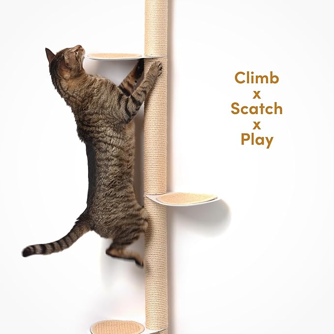 68" Tall Wall-Mounted Cat Tree – Modern Space-Saving Cat Shelf with Sisal Scratching Post & Steel Climbing Steps – Stylish Cat Wall Furniture for Small Spaces
