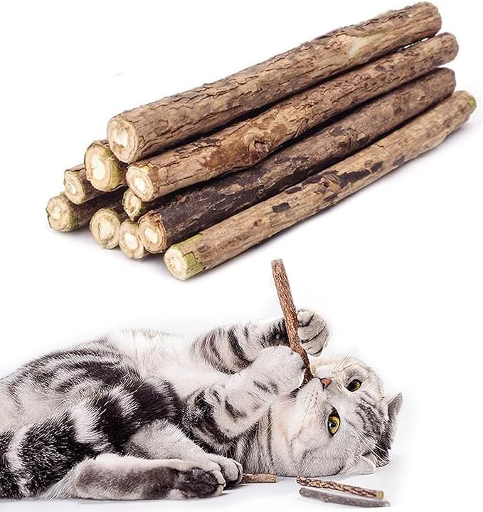 10 PCS Cat Catnip Sticks, Natural Matatabi Silvervine Sticks - Cleaning Teeth Molar Tools Kitten Chew Toy Natural Catnip Cats Toy