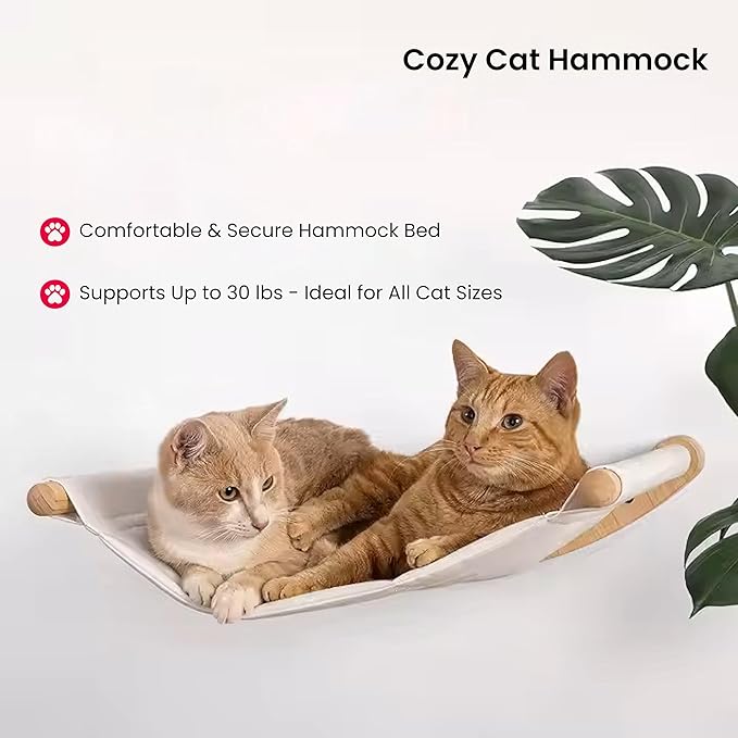 Cat Wall Shelves for Large Cats Set with Hammock, Steps & Scratching Pad - Solid Wood Mounted Climbing Furniture, Indoor Perch and Bed Wall System