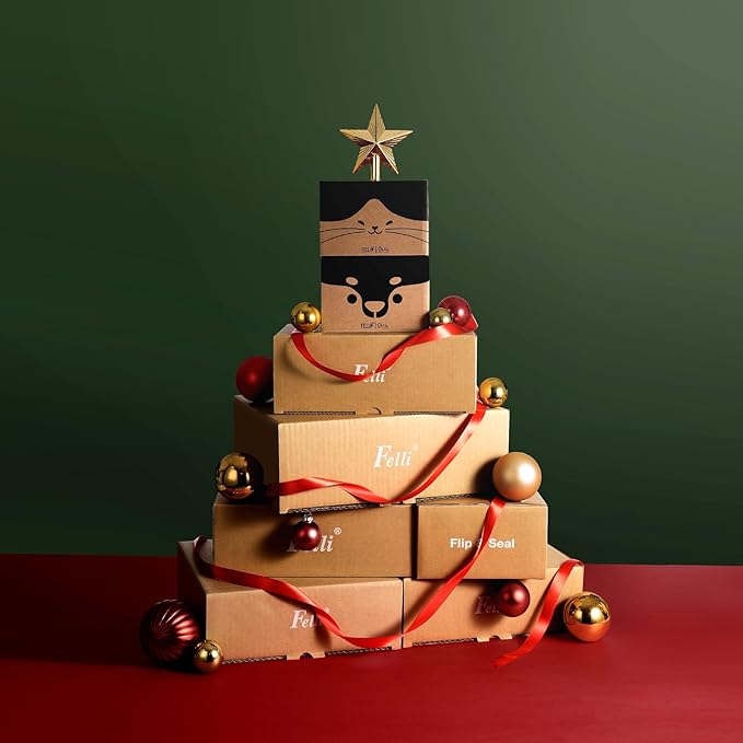 Felli Oblik Elevated Cat Food Bowls 304 Stainless Steel Removable Flat Dish for Whisker Fatigue & Dishwasher Easy Clean, Raised 15° Tilted Stand Non Slip, Wide Metal Plate Anti Vomit (0.5Cup, Classic)