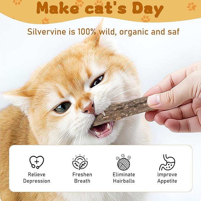 Silvervine Sticks for Cats, Natural Catnip Matatabi Chew Sticks Teeth Molar Chew Toys for Cat Kitten Kitty (at Least 12 PCS)