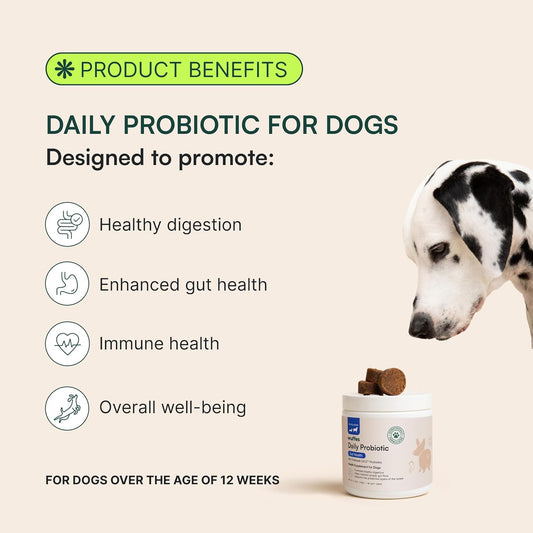 Wuffes Daily Probiotic for Dogs - Supports Digestive Health, Gut Balance, and Immune System - with Prebiotics, Marshmallow Root, and Pumpkin Powder (120 Chews (Pack of 2))