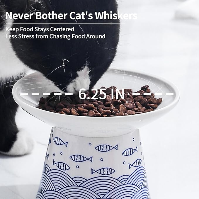 OMAYKEY Extra Wide Cat Bowls, 6.25 Inch Ceramic Raised Cat Bowl Set for Food & Water, Wide Shallow Pet Food Dish, Anti Vomiting, Stress Free, Whisker Fatigue, 2 Packs, Blue