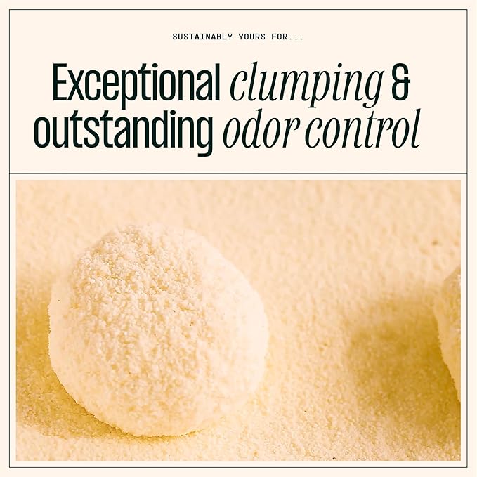 Cat Litter, Large-Grain Formula 10 lbs